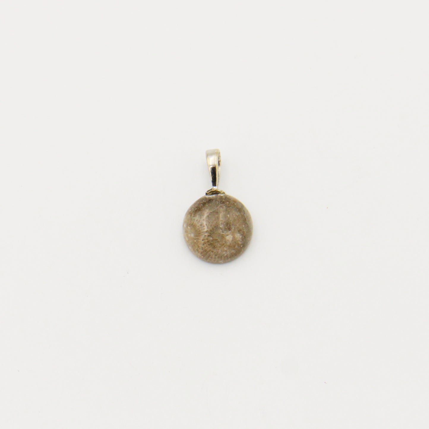Petoskey Round 12mm Drilled Pendant