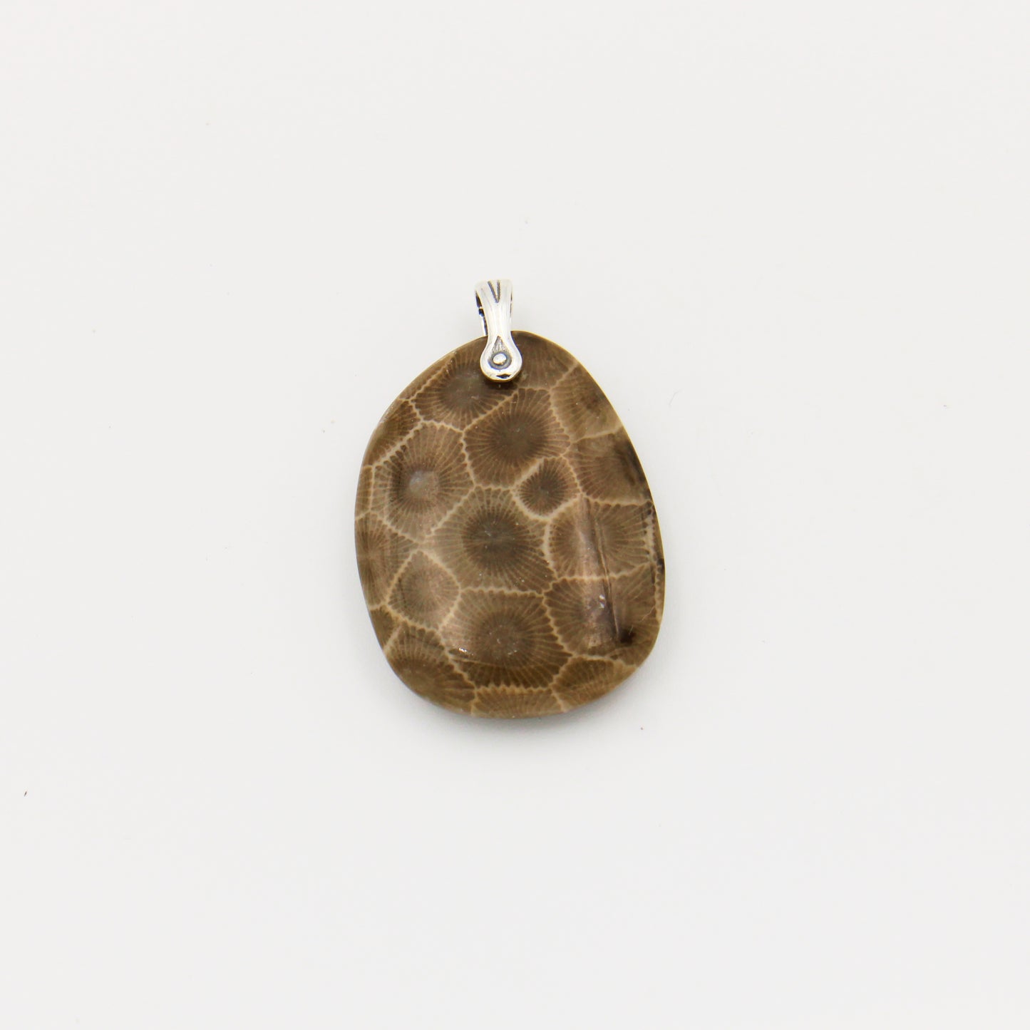 Petoskey Stone Oval Slice Pendant