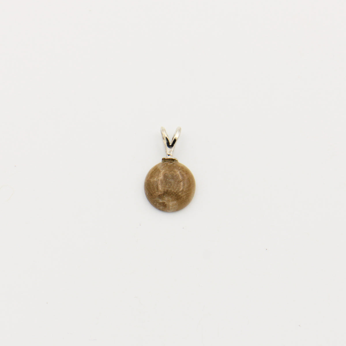 Petoskey Round 10mm Drilled Pendant