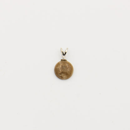 Petoskey Round 10mm Drilled Pendant