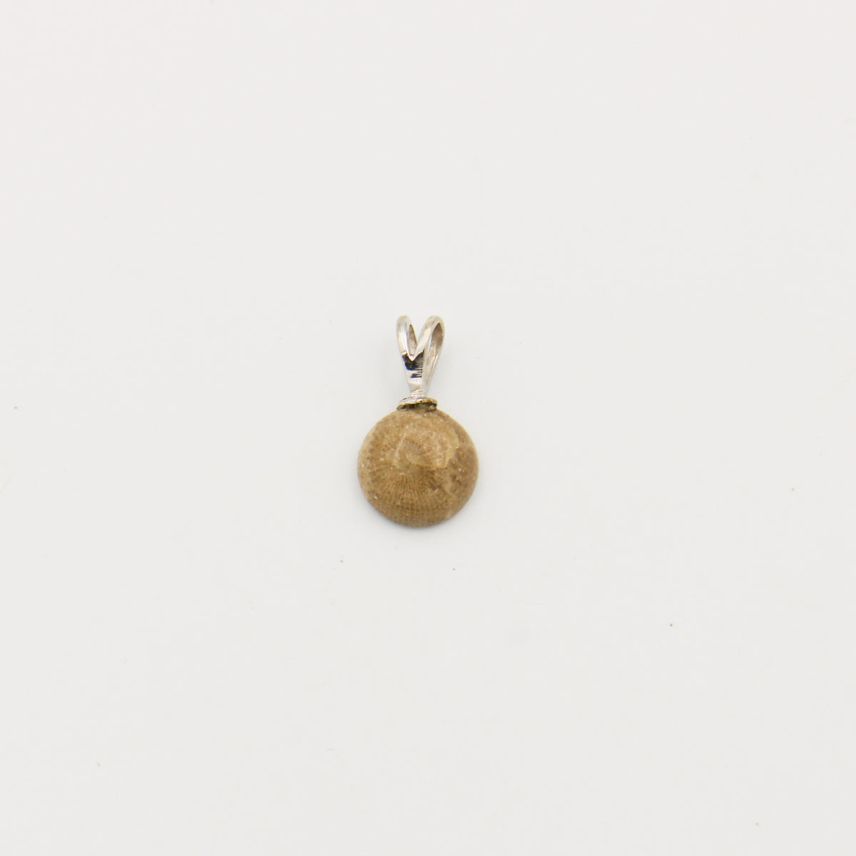 Petoskey Round 10mm Drilled Pendant