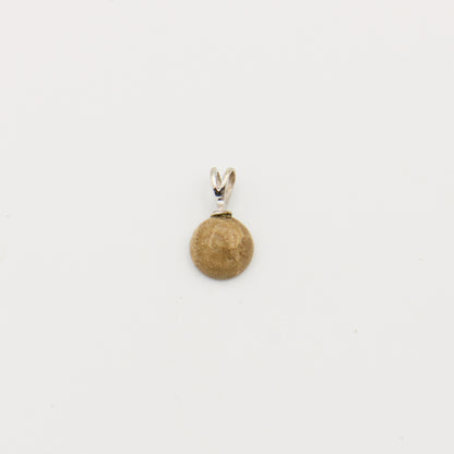 Petoskey Round 10mm Drilled Pendant