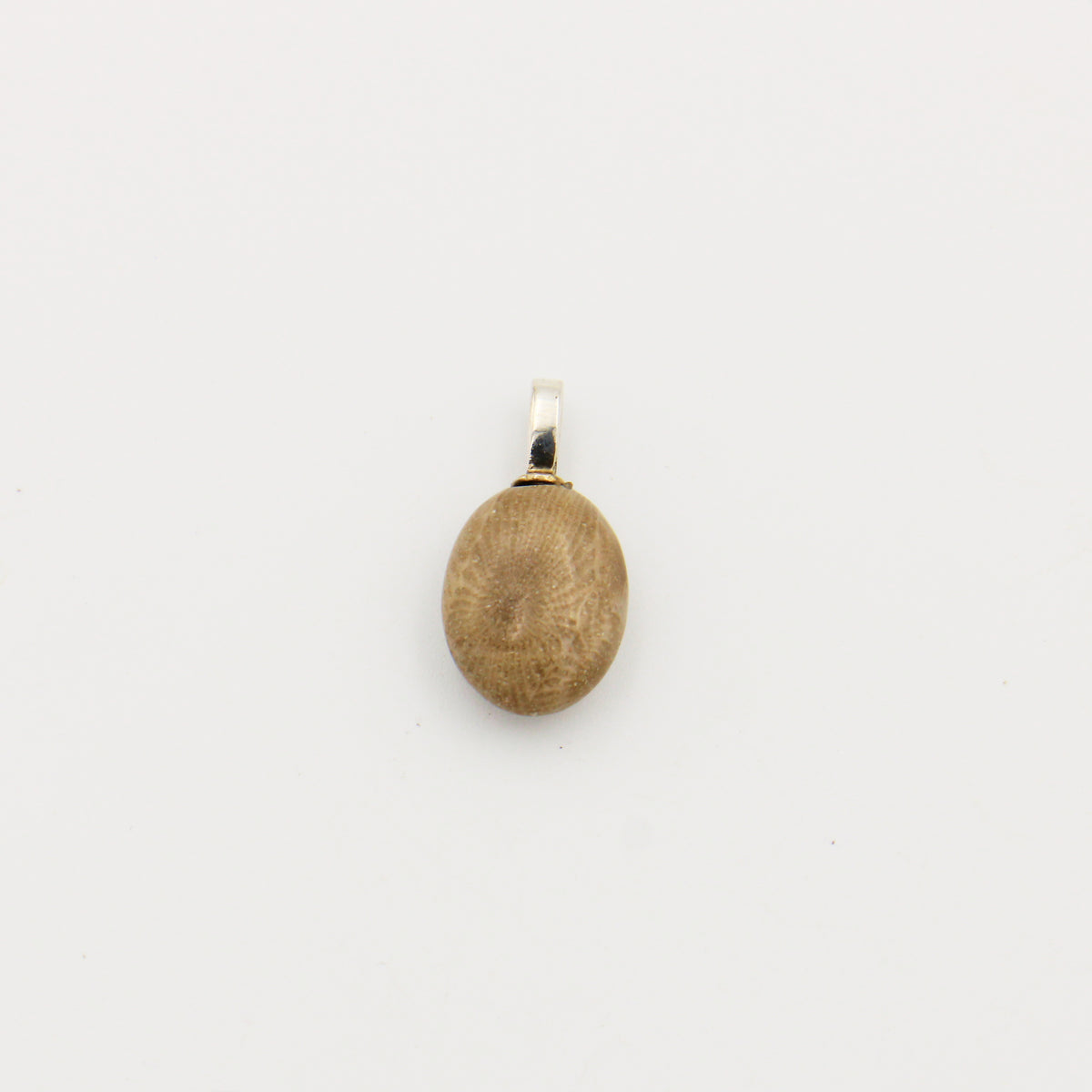 Petoskey Oval Drilled Pendant