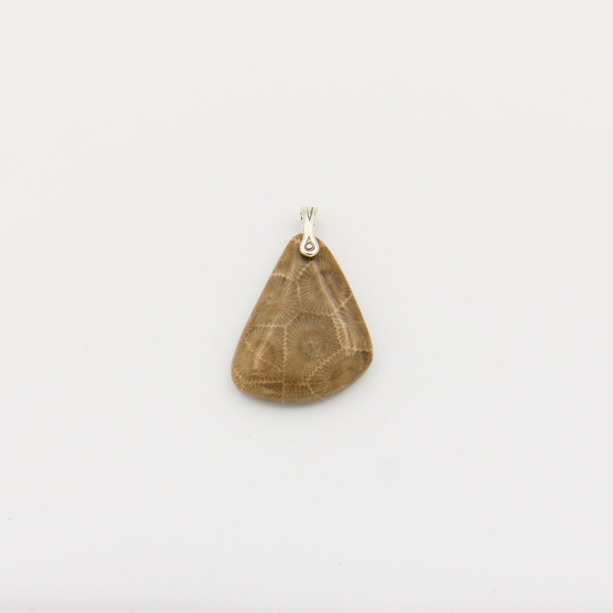 Petoskey Stone Triangle Slice Pendant