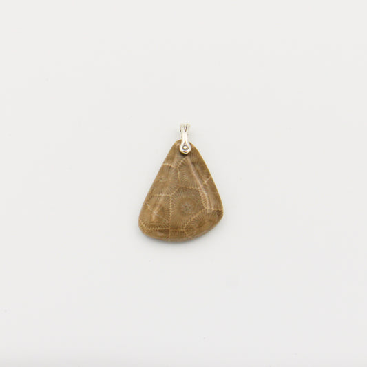 Petoskey Stone Triangle Slice Pendant