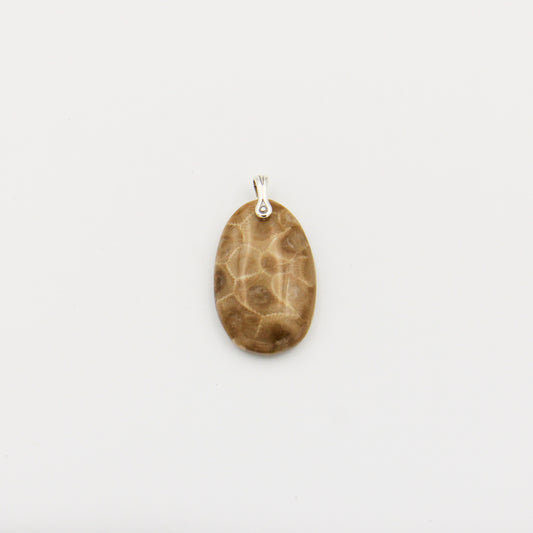 Petoskey Stone Oval Slice Pendant