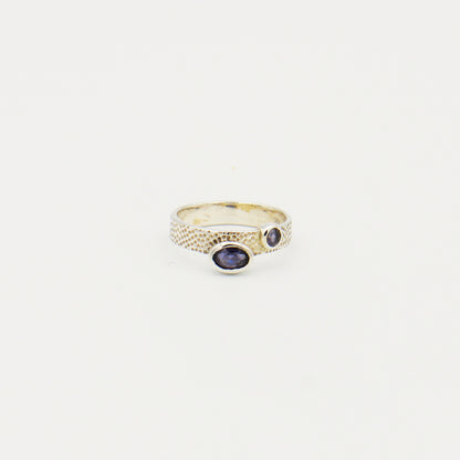 Iolite Two Stone Oval & Round Textured Band Ring Size 8