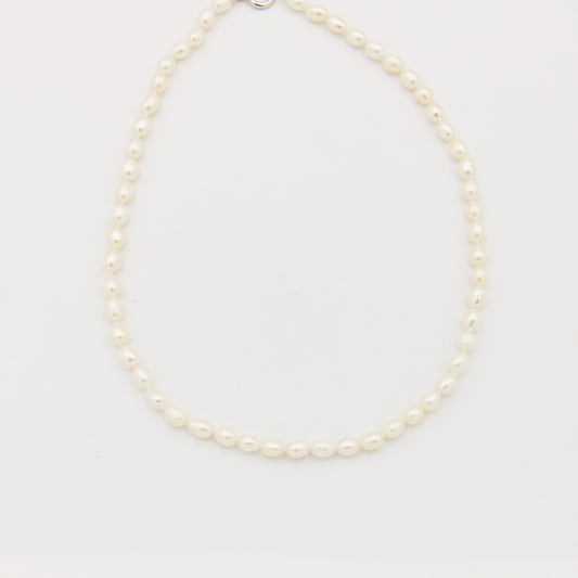 Freshwater Pearl White Strand 14-16"