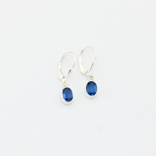 Kyanite Small Oval Sterling Earrings : 210000022403