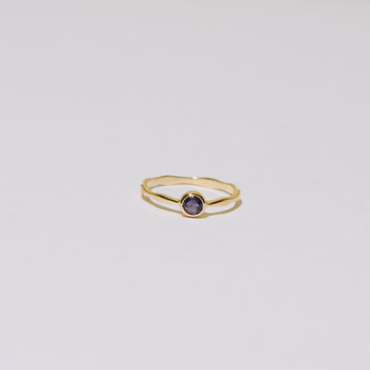 Dainty Iolite Round Vermeil Ring 8