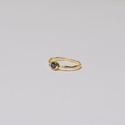 Dainty Iolite Round Vermeil Ring 8