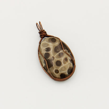 Petoskey Large Ovoid Copper Wrapped Pendant