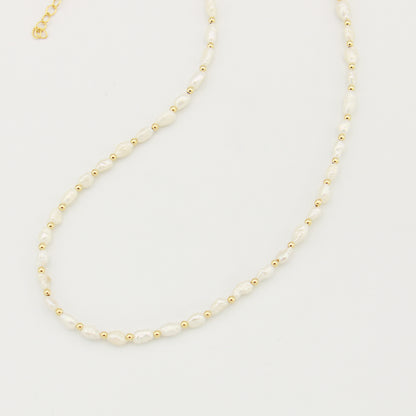 Freshwater Pearl & Beads GF Necklace Adj
