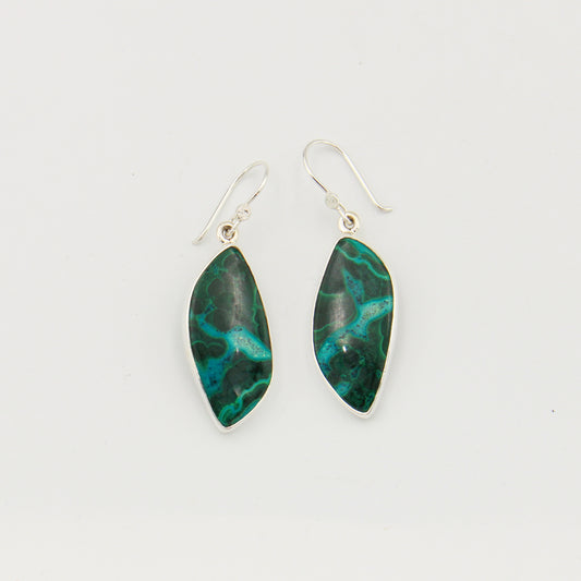 Malachite Chrysocolla Leaf Sterling Earrings